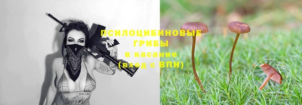 ECSTASY Верхний Тагил