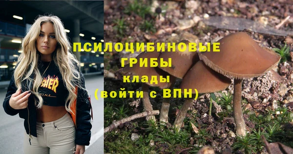 круглые Бронницы