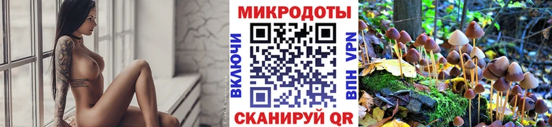 Галлюциногенные грибы GOLDEN TEACHER  Купить где  Нариманов 